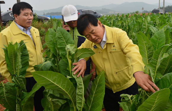 박우정 전북고창군수 강풍, 우박 피해상황 점검 (전북 고창군청)