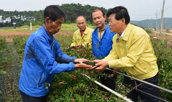 박우정 전북고창군수 강풍, 우박 피해상황 점검 (전북 고창군청)