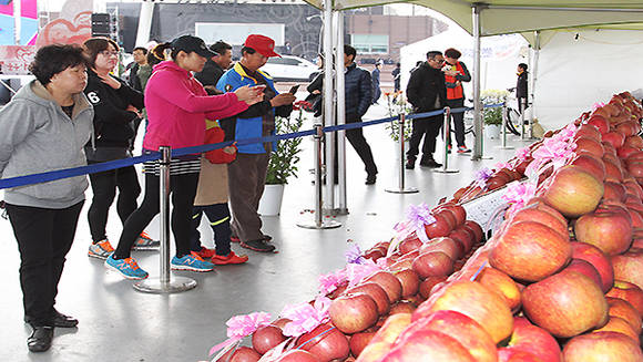 2014년 충주 사과축제 행사장 