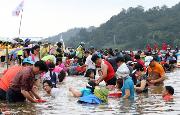 알프스 하동 섬진강재첩축제 황금재첩 찾기 (경남 하동군청 제공)