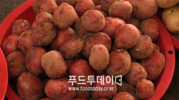 자색감자