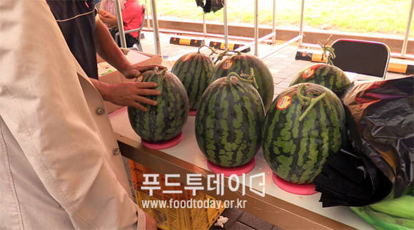 강화섬수박