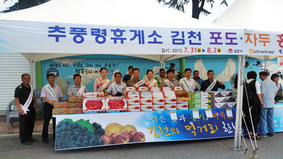추풍령휴계소 김천포도, 김천자두 홍보행사 (경북 김천시청 제공)