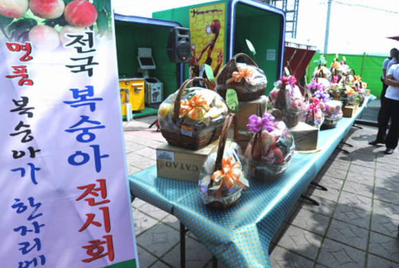 여주시 복숭아 홍보행사 (경기 여주시청 제공)