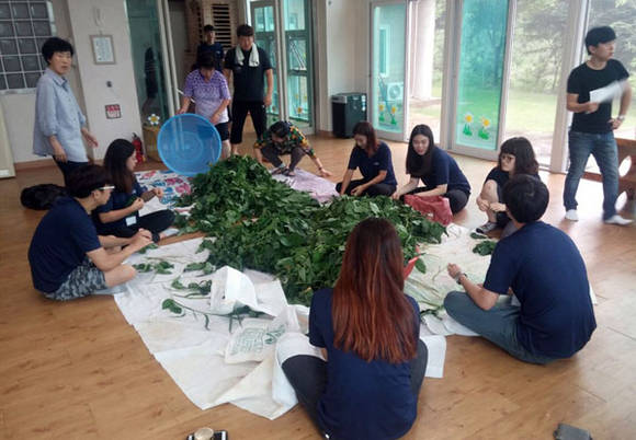 고창군 장학숙 입사생 하계 봉사 (전북 고창군청 제공)