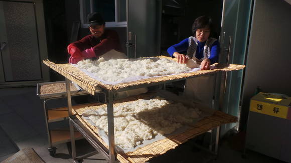 전통술 제조 (경기 안성시청 제공)