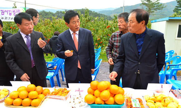 박우정 고창군수 2015 최고품질 과실생산 시범사업 결과평가회 (전북 고창군청 제공)