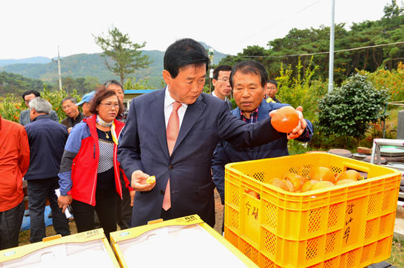 박우정 고창군수 2015 최고품질 과실생산 시범사업 결과평가회 (전북 고창군청 제공)