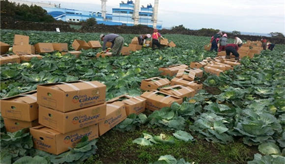 제주도청 사진제공