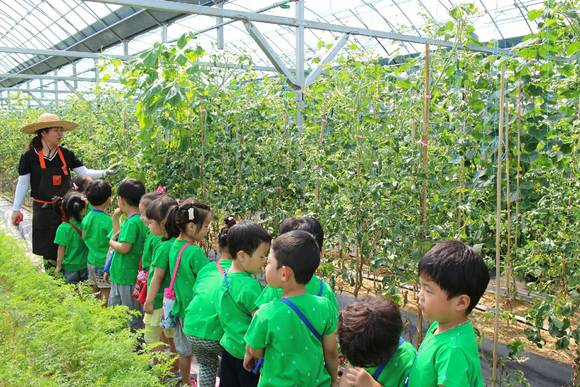 어린이들이 농작물을 관찰하고 있다. (서울시 사진제공) 