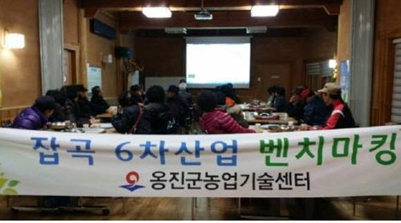 옹진군이 잡곡 6차산업 벤치마킹을 실시하고있다. (사진제공 인천 옹진군)