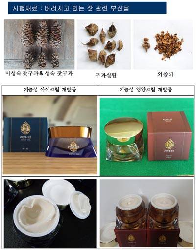 잣 구과를 이용한 화장품 (사진제공 경기도)