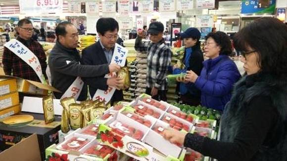 청주시 직원들과 청원생명 농업인들이 제주도 마트에서 농산물 판매 판촉 행사를 진행하고 있다. (사진제공 충북 청주시)