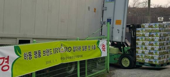 경남 하동군이 일본에 참다래1차분 8t을 선적하고 있다. (경남 하동군 사진제공)