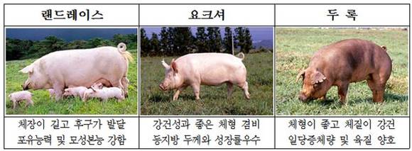 제주특별자치도 제공
