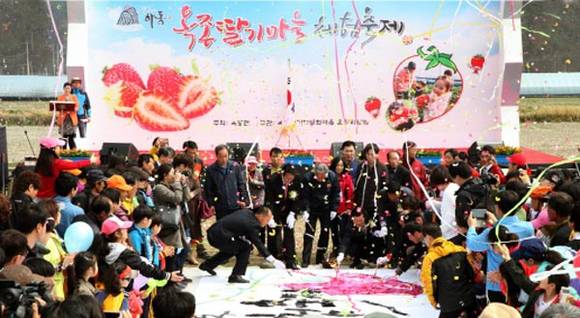 2015년도 옥종북방 딸기체험축제 현장