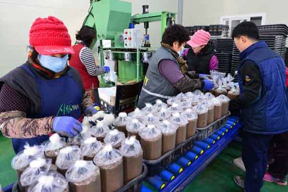 괴산표고버섯 배지 생산시설