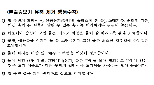 흰줄숲모기 유충 제거 행동수칙