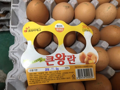 다진상사 이미지