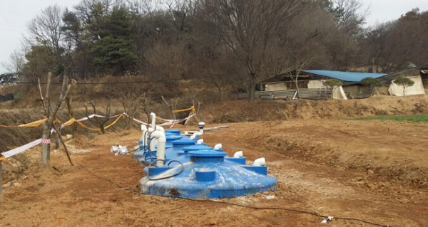 오리, 닭 살처분 매몰지 현장