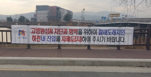 안성시, 안성천에 고병원성 AI 차단 위해 출입통제 안내현수막 설치
