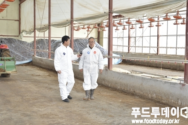살처분되어 텅빈 농장안에서 김병주 기자가 농장주와 인터뷰 하고 있다.(오른쪽 류근중 음성군 오리농장주)