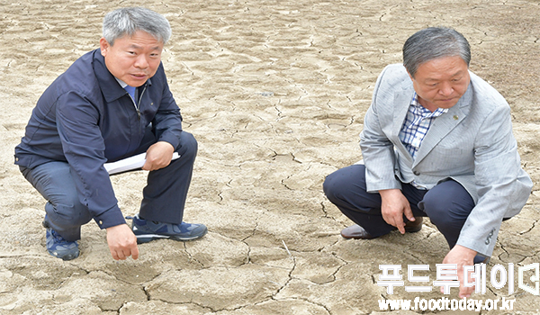 이홍기 한국농축산연합회 상임대표와 차상철 한국농어촌공사 충주제천단양 지사장이 충북 제천 백곡저수지 가뭄현장에서 '쩍쩍' 갈라진 저수지 바닥을 바라보고 있다.