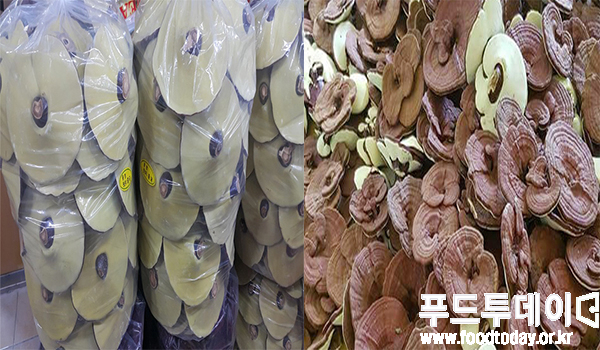 중국산 영지버섯(왼쪽)과 국내산 영지버섯(오른쪽).