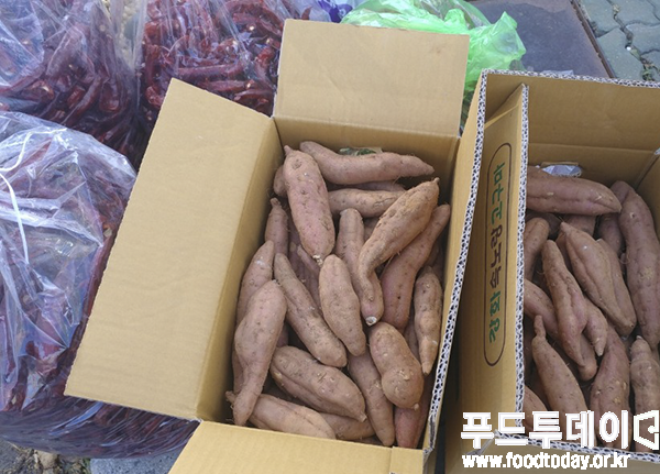 강화 온수리 5일장터 속노랑 고구마