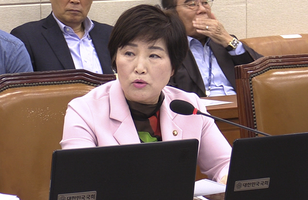 전혜숙 더불어민주당 의원