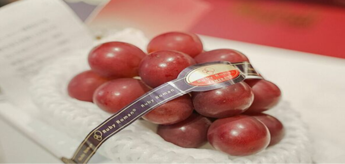 출처 : Vnexpress, Ruby Roman Grape