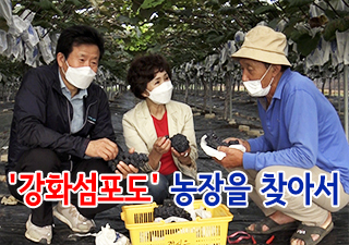 강화섬푸드 이미지
