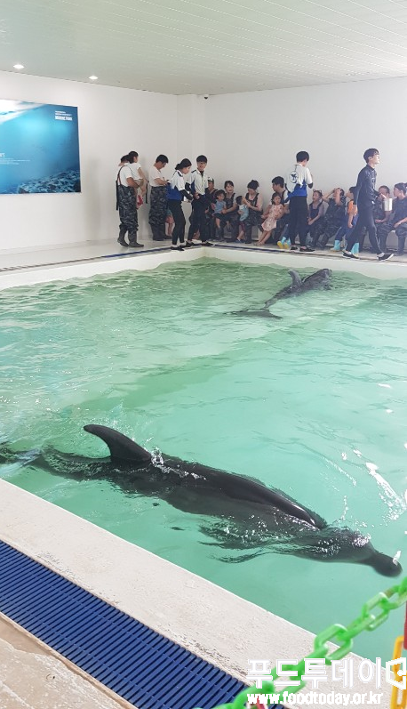 제주도 서귀포시 안덕면에 위치한 마린파크 내부.