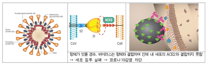 (출처: 셀트리온)