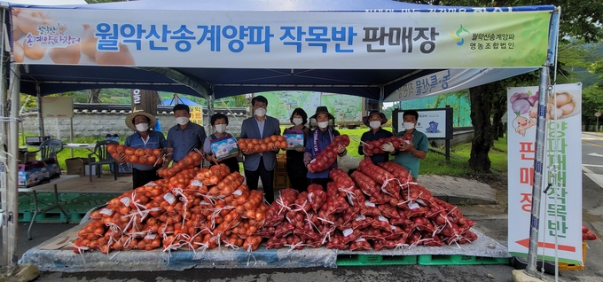 양파판매장에서 양파생산 농민들과 판촉지원을 나온 이근규 전 제천시장(좌측 4번째)과 김동식 제천시의회 전 부의장(좌측 2번째).