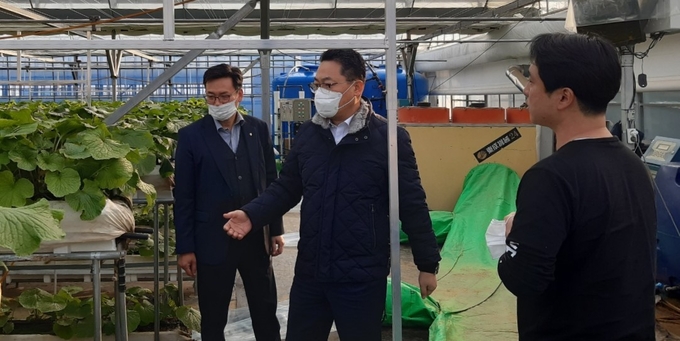 농림수산업자신용보증기금 김석기 상무(사진 가운데)는 15일 강원도 평창 소재 스마트팜에서 진행중인 경영컨설팅 현장을 방문하여 농업인과 대화하고 있다.