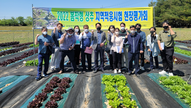 상추 현장평가회 (충청남도)