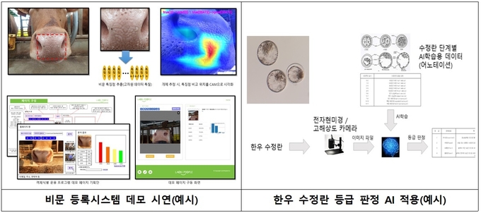 한우 인공지능 모델 (경상북도)