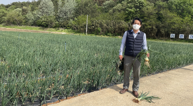유기농 양파 (전남도)