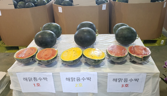 밀양 해맑음 미니 수박 (경남 밀양시)