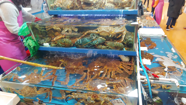 수산시장 