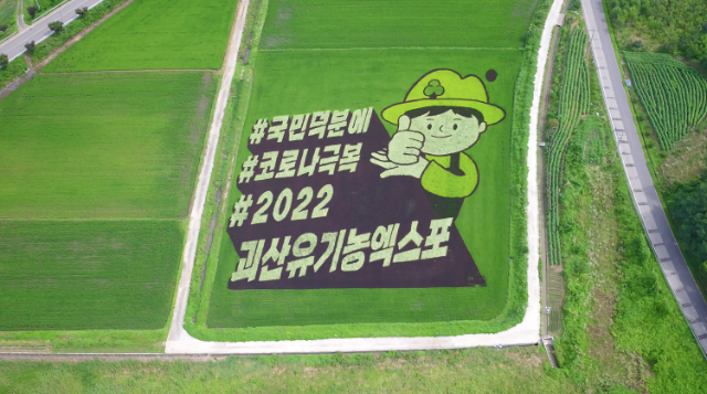 유기농 벼 (충북 괴산군)