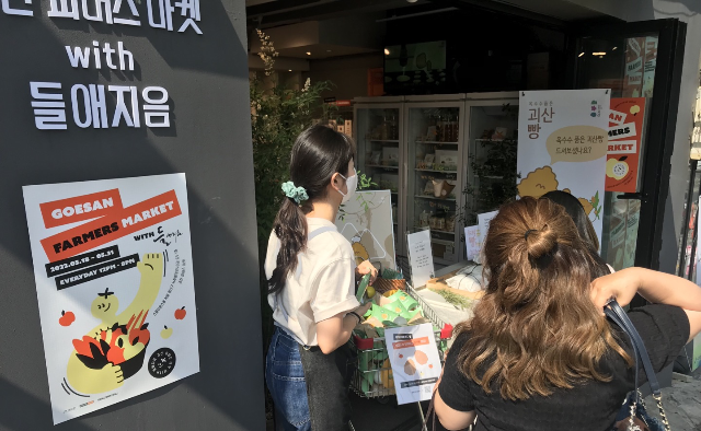 파머스 마켓 with 들애지음 (충북 괴산군)