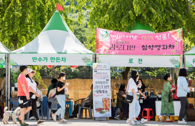 하동야생차문화축제 (경남 하동군)