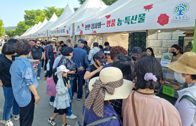곡성장미축제 (전남 곡성군)