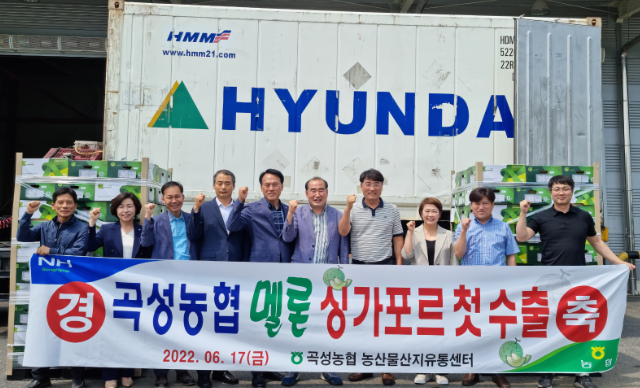 곡성 멜론 싱가포르 수출 (전남 곡성군)