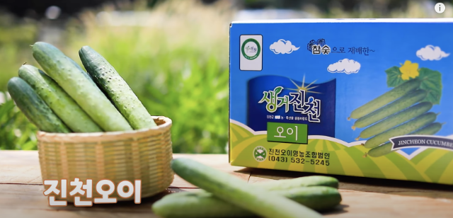 진천군 유튜브 갈무리