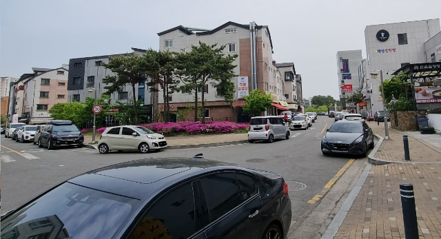 호매실 벚꽃거리 (경기 수원시)