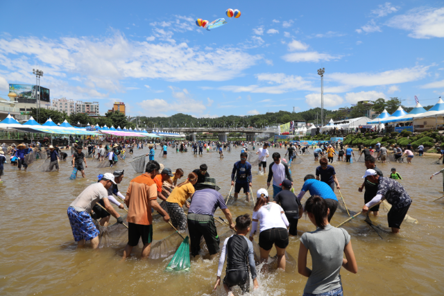봉화은어축제 (경상북도)