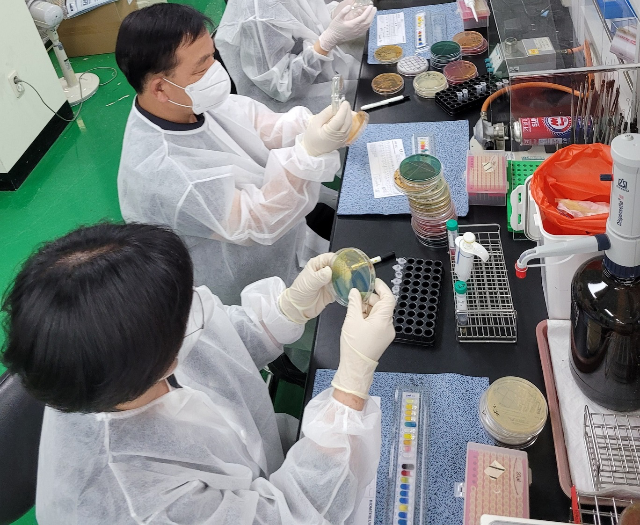 미생물 검사